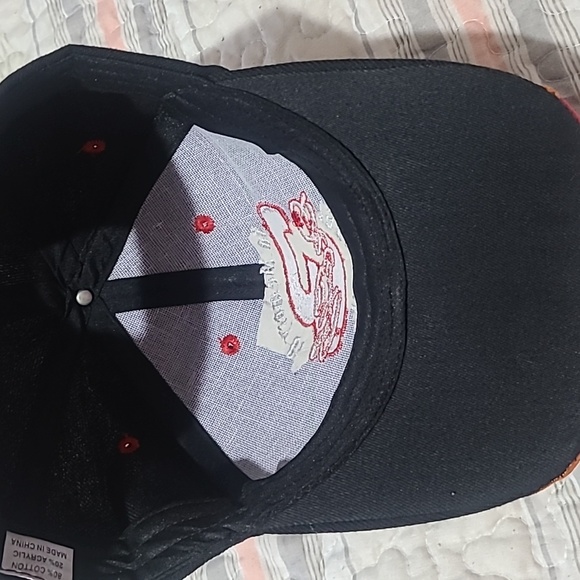 Dale Earnhardt Ball Cap - Picture 7 of 8